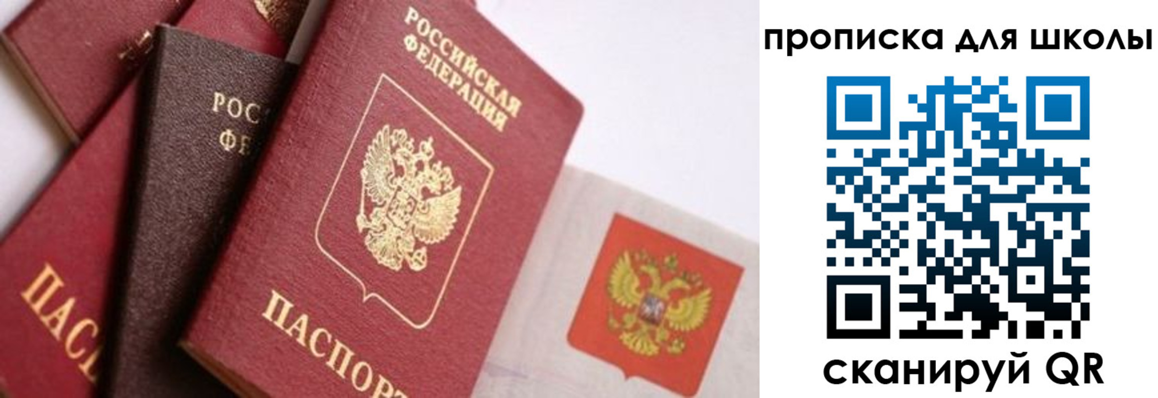прописка поиск в Губкине